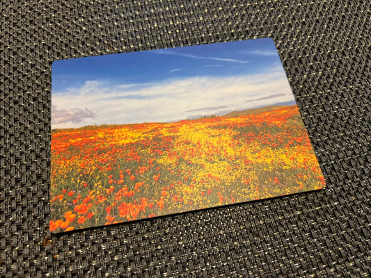 Magnet, wildflower super bloom.