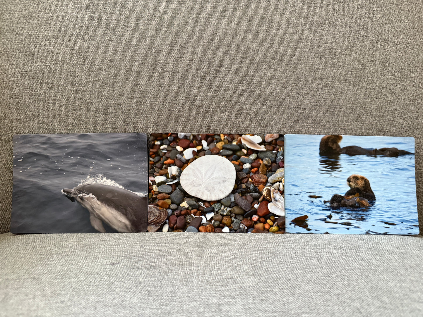 Magnet set, central coast.