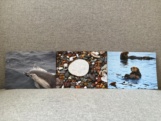Magnet set, central coast.